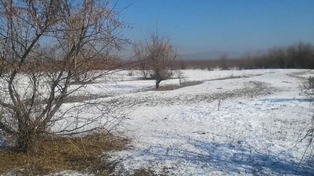 НИВА 2329. Охота на приваде. смотреть онлайн