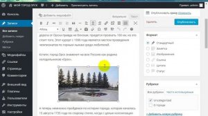Как добавить картинку к записи Wordpress(Как вставить текст, видео, картинку  WordPress)