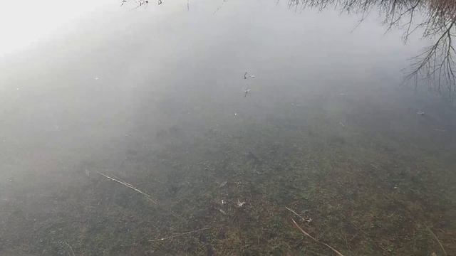 Весна Удмуртии, нашей знатной родины смотреть онлайн