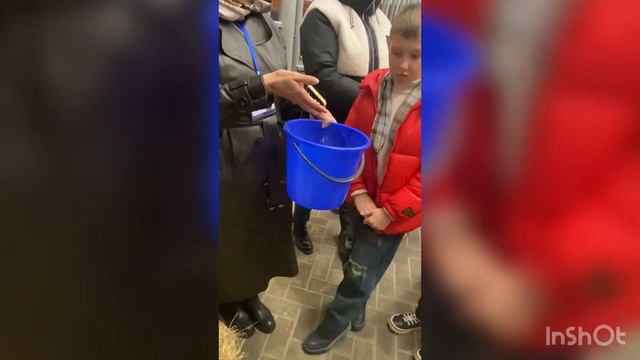 Экскурсия по конюшне. Кремлёвская школа верховой езды, Москва