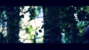 Березник. Устьянский район.