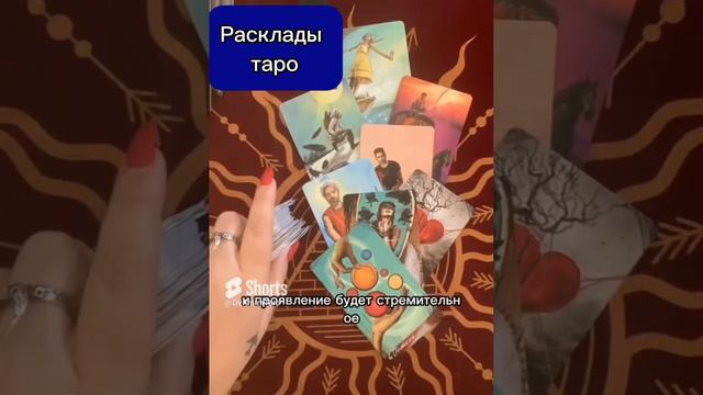 Загадывай ситуацию и посмотрим. #расклад #таро #таролог #таробудущее #tarot #shortstaro  #шортсы