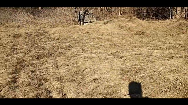 Странные вещи.  Поход вокруг озера - покинутый хутор [#30]