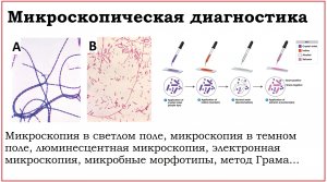 12. Микроскопические методы диагностики