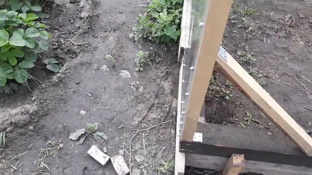 Выращивание огурцов. Тёплая теплица #1 смотреть онлайн