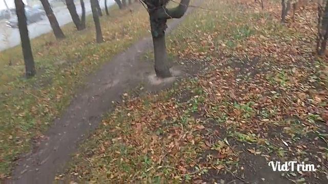 Алюминиевые банки ждут,когда их соберут.Выпуск№26. смотреть онлайн