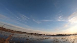 Охота на селезня на разливах! ГОТОВИМ СУП ИЗ УТИНЫХ ПОТРОШКОВ!