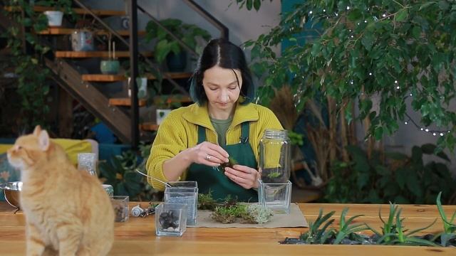 Як Створити Сад у Колбі? Цікаві Ідеї Декору Для Дому Своїми Рeками. Зроби Сам. смотреть онлайн