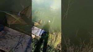 Рыбалка в городе Кургане