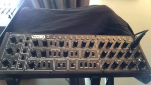 BEHRINGER PRO-1 DEMO (No Talking)