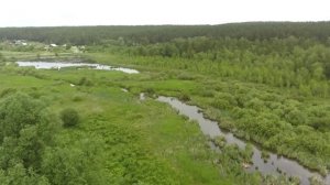 Утро туманное  05.07.2023