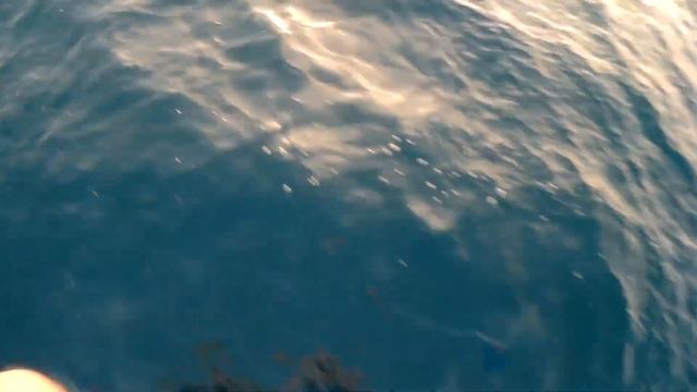 Парасейлинг в ЛЕРМОНТОВО Туапсинский район \ Отдых на черном море