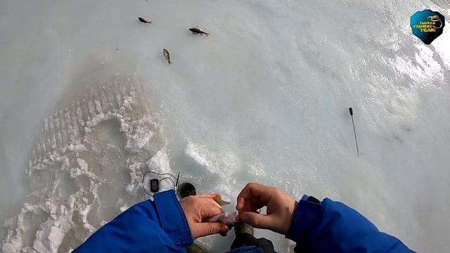 Два дня на Чудском озере. Suvi. Peipsi järv.. Февраль 2021. смотреть онлайн