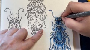 Adult Coloring - Magical Dawn Bugs Part 1