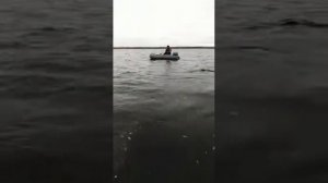 лодочный мотор тарпон 5 л/с