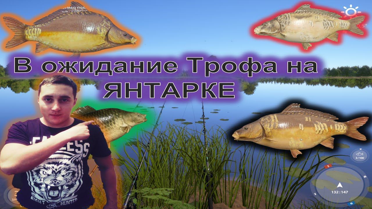 Янтарка-в поиске трофея или фарма #РР4#ДмитрийHD#rr4