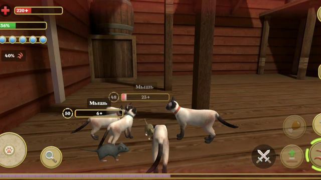 симулятор кота. пять котов против лисы королевского зайца и королевского кабана