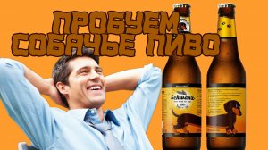 Пробуем собачье пиво