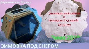 Пчелы. Зимовка под снегом. Откапываем улей. (Bee)