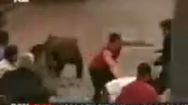 Боксер смотреть онлайн