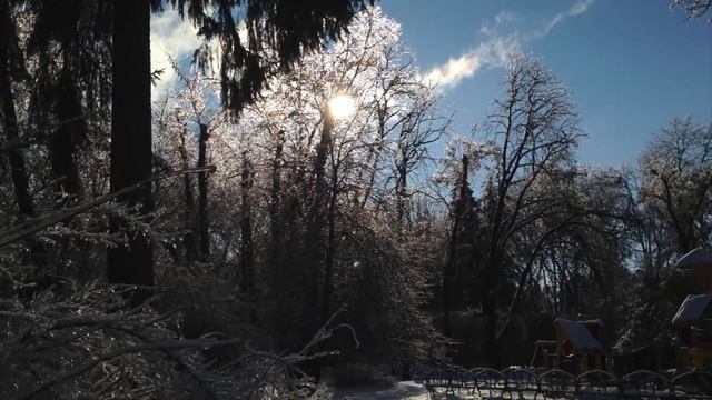 Тест камеры на iPhone 5 смотреть онлайн