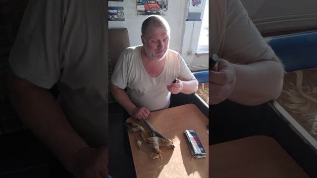 Отпугивание ВОЛКА средь бела дня / Scaring off a WOLF in broad daylight. смотреть онлайн