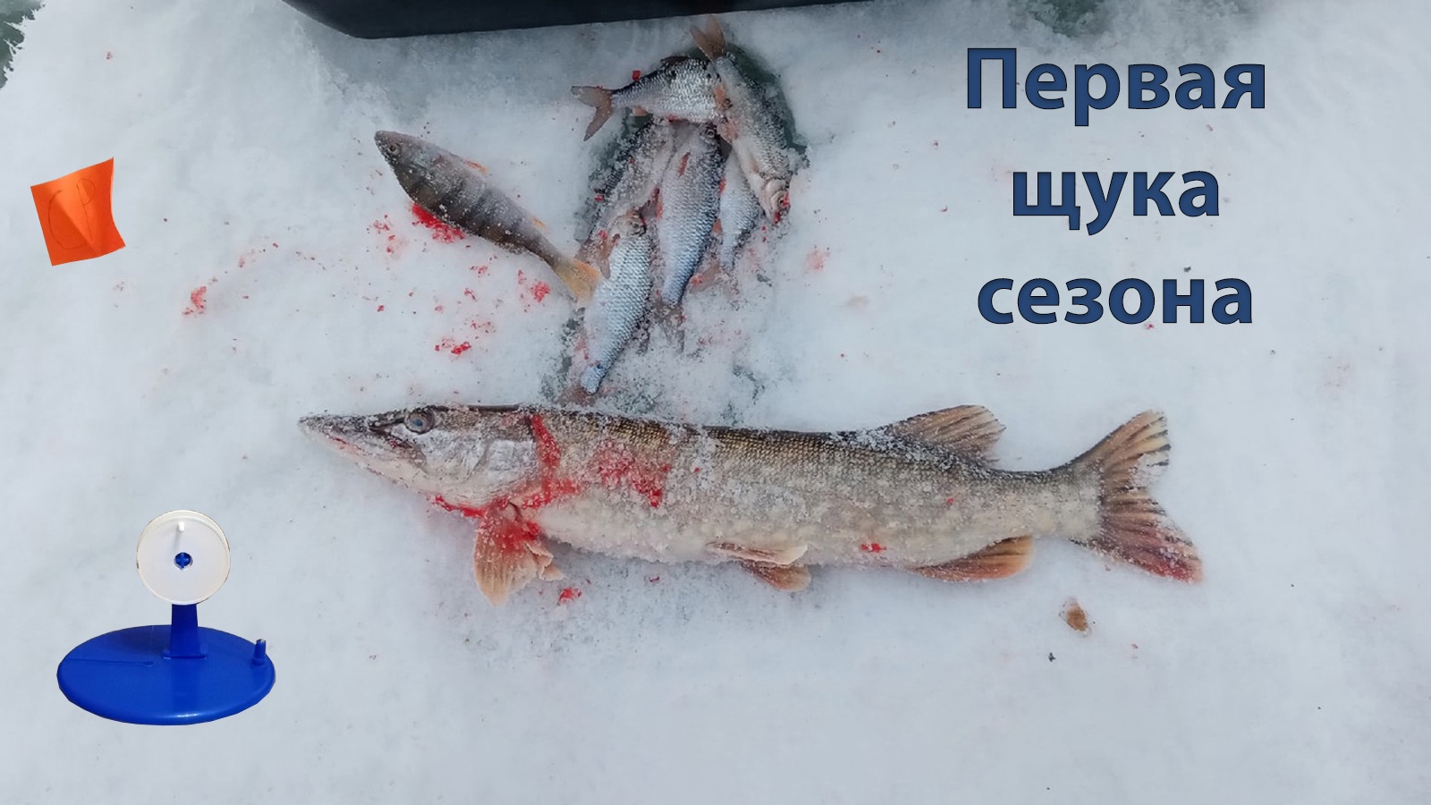 ЛОВЛЯ ЩУКИ НА ЖЕРЛИЦЫ | ПЛОТВА ТОЖЕ КЛЕВАЛА| ЛУЧШАЯ РЫБАЛКА ЗА ПОСЛЕДНЕЕ ВРЕМЯ. ПОСЛЕДНИЙ ЛЁД 2022. смотреть онлайн