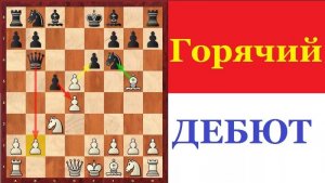 Шахматы. Перуанский гамбит. Школа шахмат d4-d5.