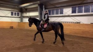 СГИБАНИЕ НА ШАГУ. Работа руками. Положение затылка лошади.