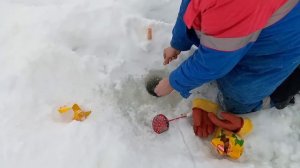 Лов рыбы на косынки с кормушкой зимой