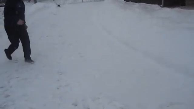 JAZAVČAR MIKI I LOPTICE.AVI смотреть онлайн