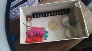 обустройка дома сквиш собаки лаймы
