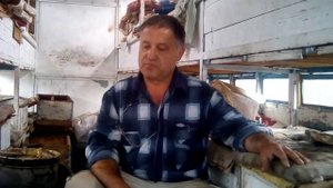 Аскосфероз пчёл , способы лечения