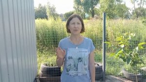 Вошки,блошки,клещи,клопы и другая живность в курятнике?Как бороться???
