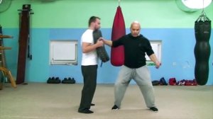 Легендарный удар в 1 дюйм Брюса Ли - пояснения и демонстрация. Сергей Завалий.