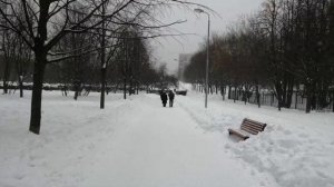 ГОА МОСКВА Зима Мумитроль