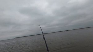 Рыбалка в Приобье. 2020.