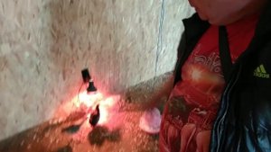 Строительство дома на болоте, отсыпка под домом, котлован для строительства дома