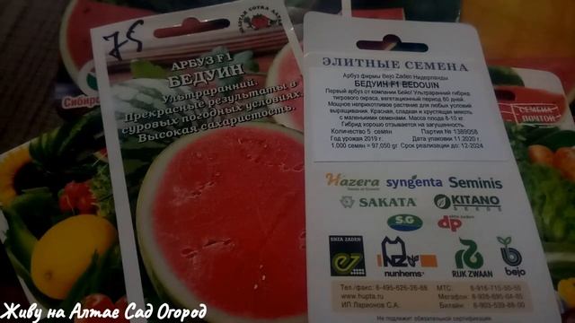 ЛУЧШИЕ СОРТА АРБУЗОВ НА 2022 год смотреть онлайн