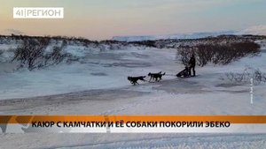 КАЮР С КАМЧАТКИ И ЕЁ СОБАКИ ПОКОРИЛИ ЭБЕКО • НОВОСТИ КАМЧАТКИ