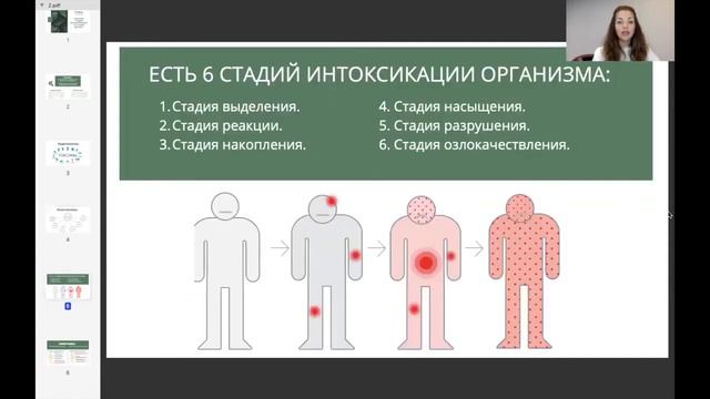 Урок 6. Стадии интоксикации организма.  Что такое детокс?