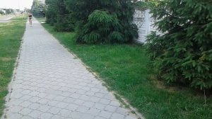 Мотокоса: надо ли газовать или работать равномерно?