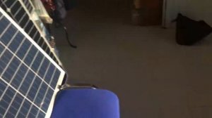 Как работают солнечные панели за окном