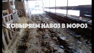 Ковыряем навоз в мороз