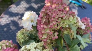 КАК СДЕЛАТЬ ЗИМНИЙ БУКЕТ ИЗ ГОРТЕНЗИИ