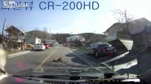 Лежачий пёс-полицейский