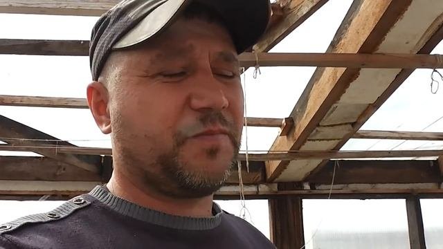 Условия отправок посылок.