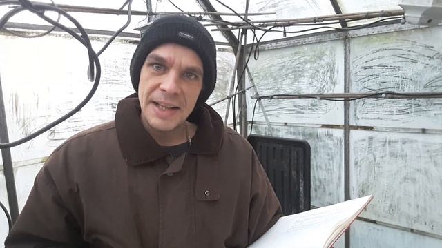 Why grow Achillea Millefolium (a.k.a Yarrow) / My Northern Garden смотреть онлайн