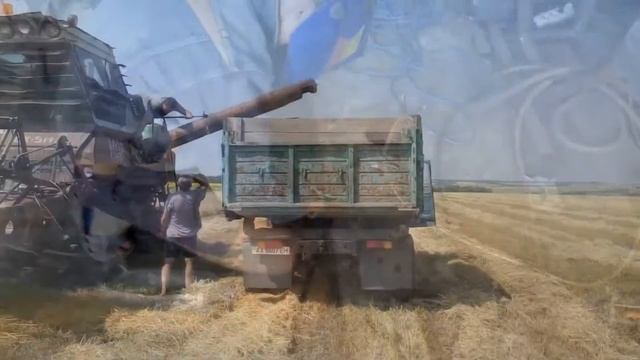 Новый канал смотреть онлайн