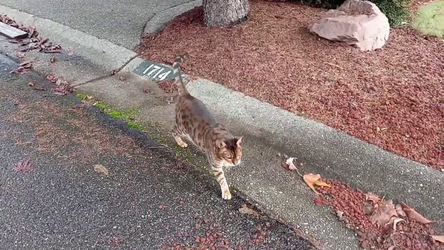 Мы ее ждали и она пришла. Олимпия штат Вашингтон США.